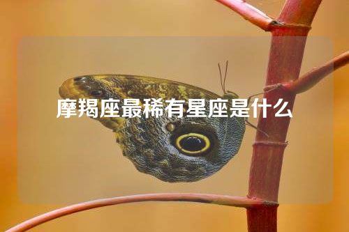 摩羯座最稀有星座是什么