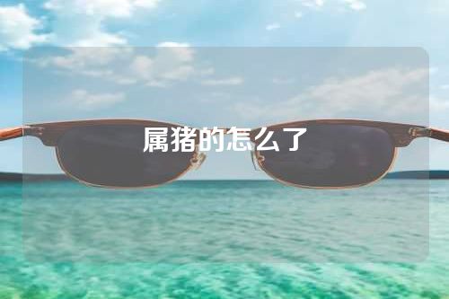属猪的怎么了