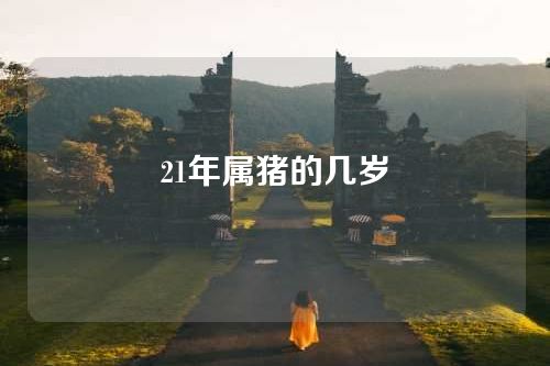 21年属猪的几岁