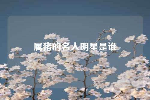 属猪的名人明星是谁