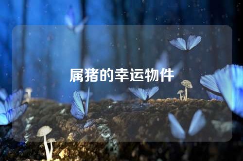 属猪的幸运物件