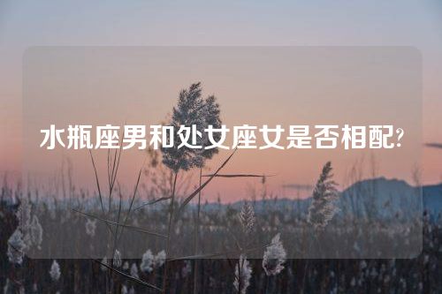 水瓶座男和处女座女是否相配?