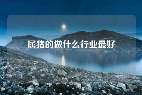 属猪的做什么行业最好