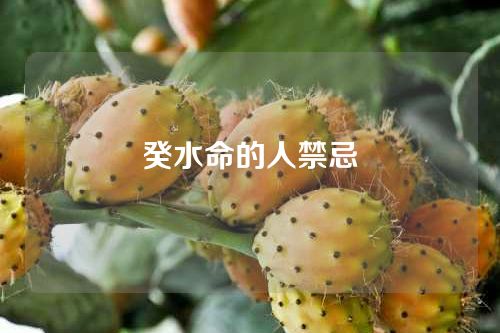 癸水命的人禁忌