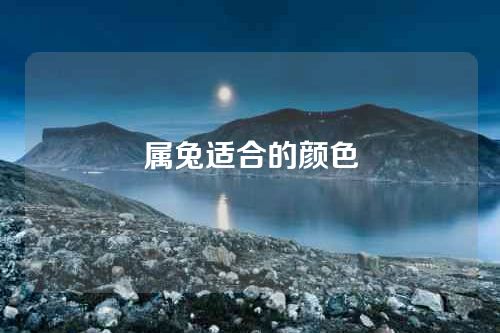 属兔适合的颜色