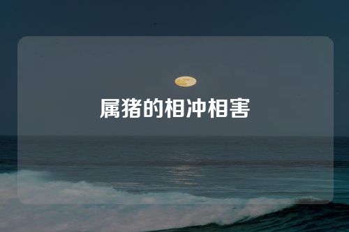 属猪的相冲相害