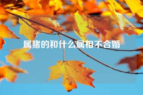 属猪的和什么属相不合婚