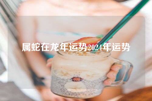 属蛇在龙年运势2024年运势
