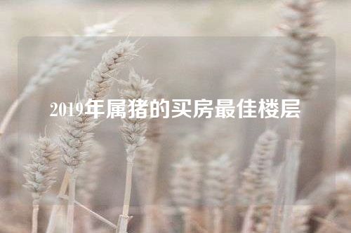 2019年属猪的买房最佳楼层