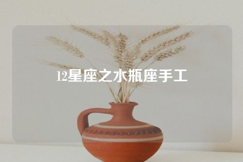 12星座之水瓶座手工