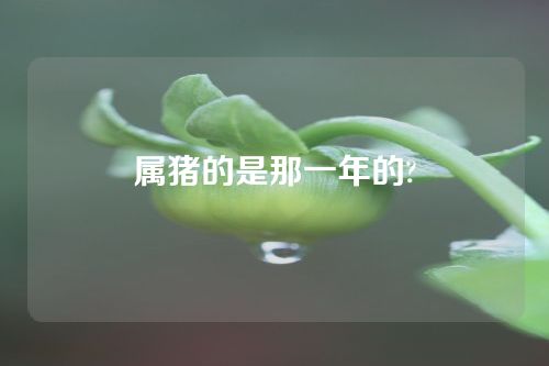 属猪的是那一年的?