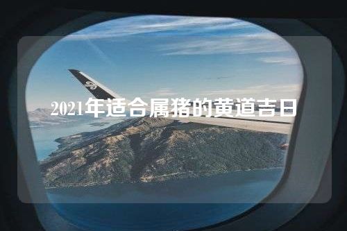 2021年适合属猪的黄道吉日