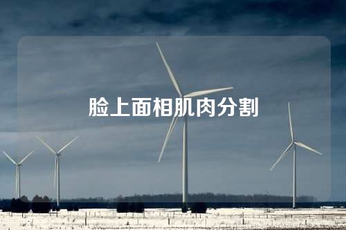 脸上面相肌肉分割