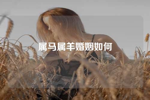 属马属羊婚姻如何