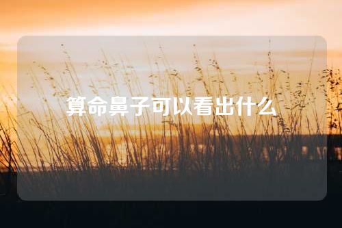 算命鼻子可以看出什么