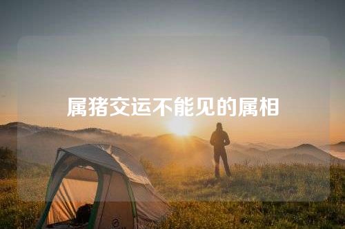 属猪交运不能见的属相