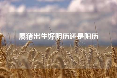 属猪出生好阴历还是阳历