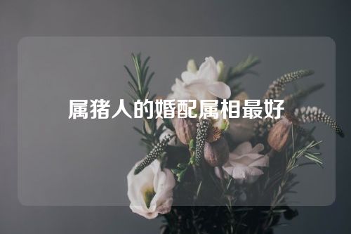 属猪人的婚配属相最好