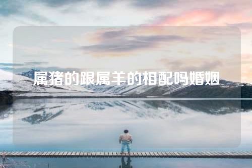属猪的跟属羊的相配吗婚姻