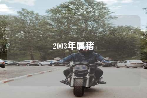 2003年属猪
