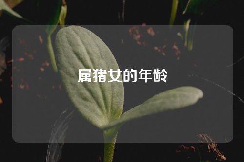 属猪女的年龄