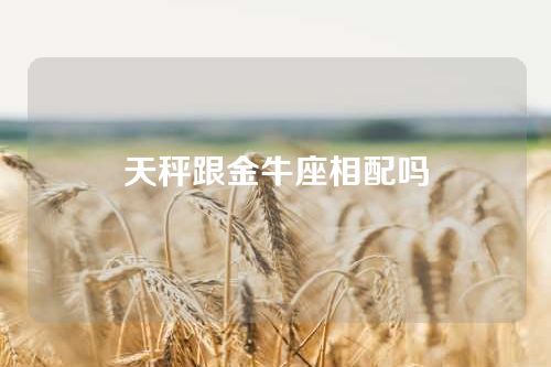 天秤跟金牛座相配吗
