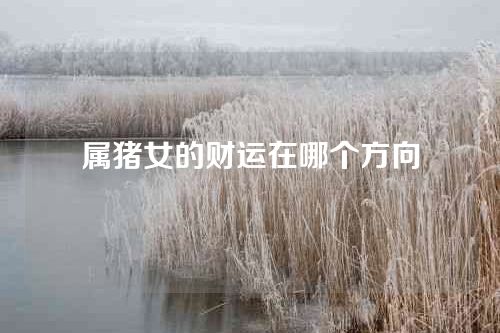 属猪女的财运在哪个方向