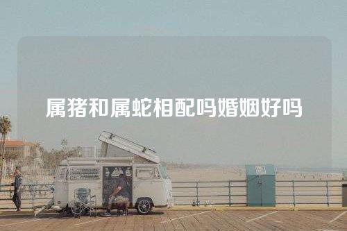 属猪和属蛇相配吗婚姻好吗