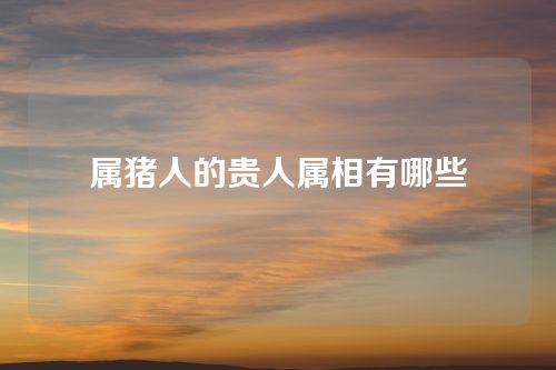 属猪人的贵人属相有哪些