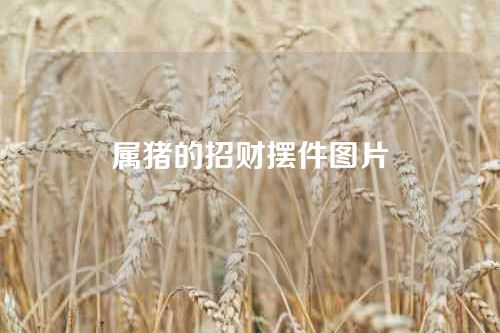 属猪的招财摆件图片