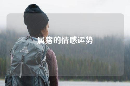 属猪的情感运势