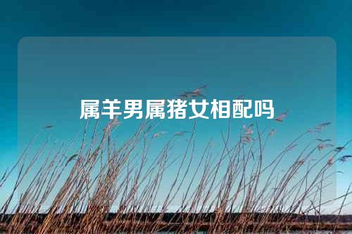 属羊男属猪女相配吗