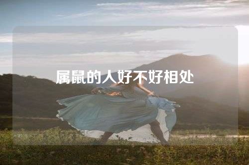 属鼠的人好不好相处