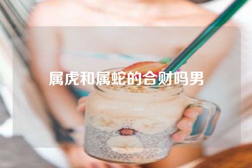 属虎和属蛇的合财吗男