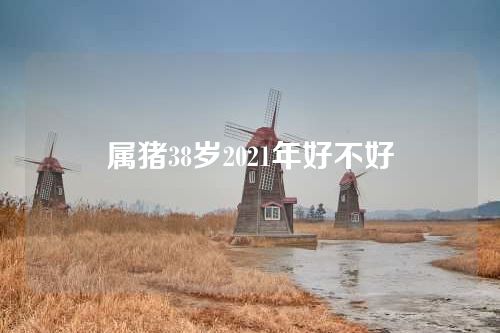 属猪38岁2021年好不好