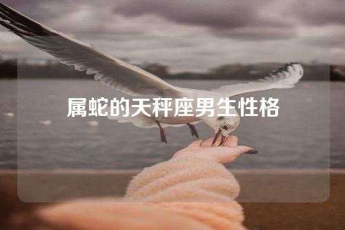 属蛇的天秤座男生性格