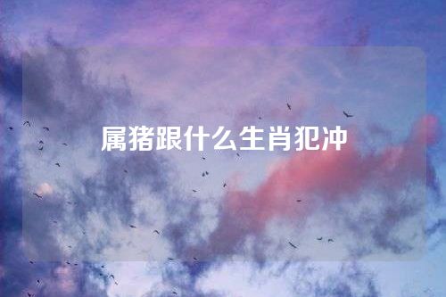 属猪跟什么生肖犯冲
