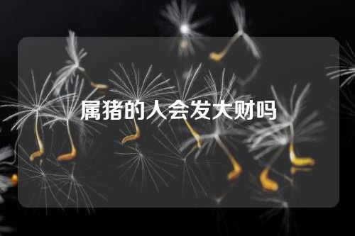 属猪的人会发大财吗