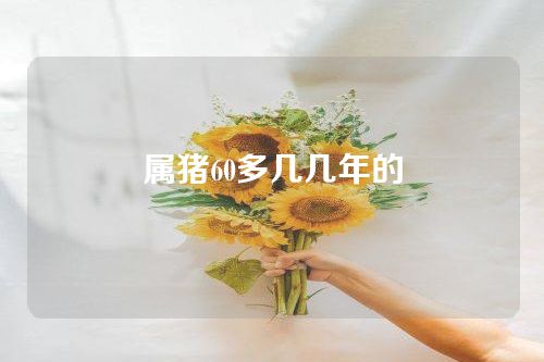 属猪60多几几年的