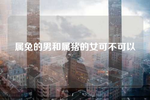 属兔的男和属猪的女可不可以