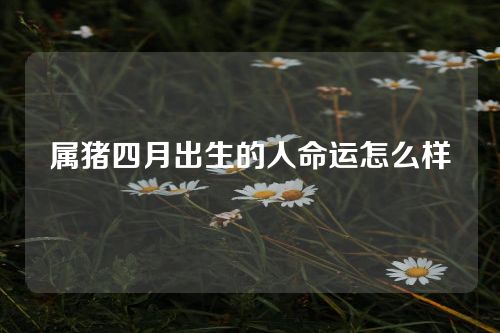 属猪四月出生的人命运怎么样