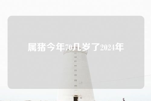 属猪今年70几岁了2024年