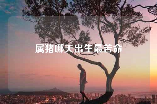 属猪哪天出生最苦命