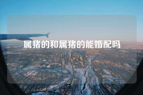 属猪的和属猪的能婚配吗