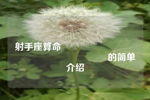 射手座算命																			的简单介绍
