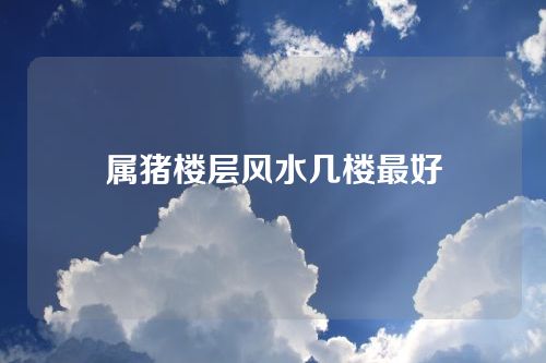 属猪楼层风水几楼最好