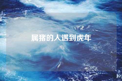 属猪的人遇到虎年