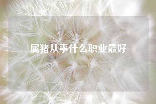 属猪从事什么职业最好