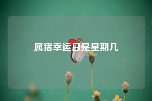 属猪幸运日是星期几