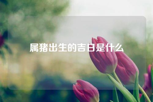 属猪出生的吉日是什么